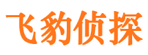 龙湖侦探公司